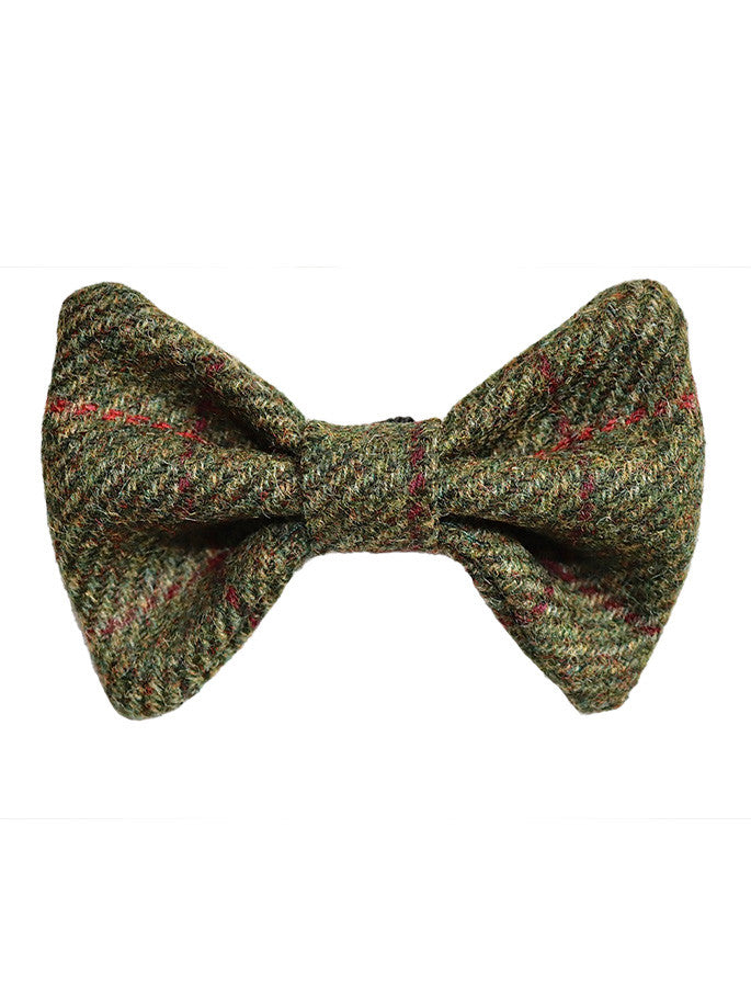 Tweed Wool Dog Dicky Bow - Green Windowpane