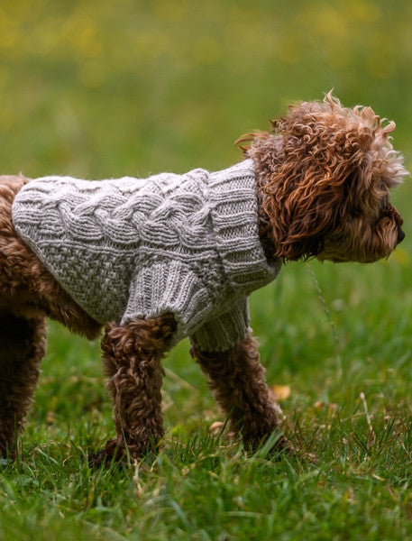 Aran Cable & Diamond Dog Sweater