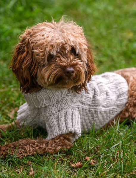 Aran Cable & Diamond Dog Sweater