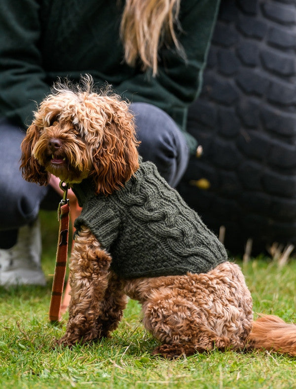 Aran Cable & Diamond Dog Sweater