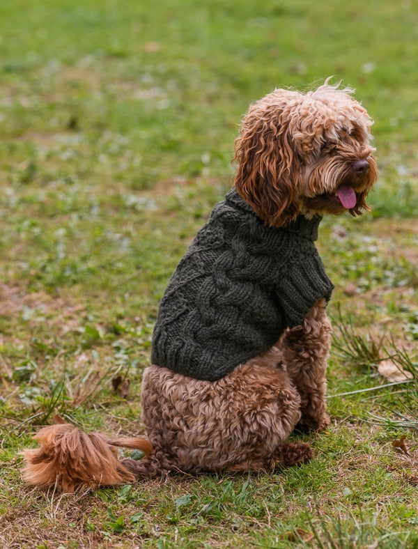 Aran Cable & Diamond Dog Sweater