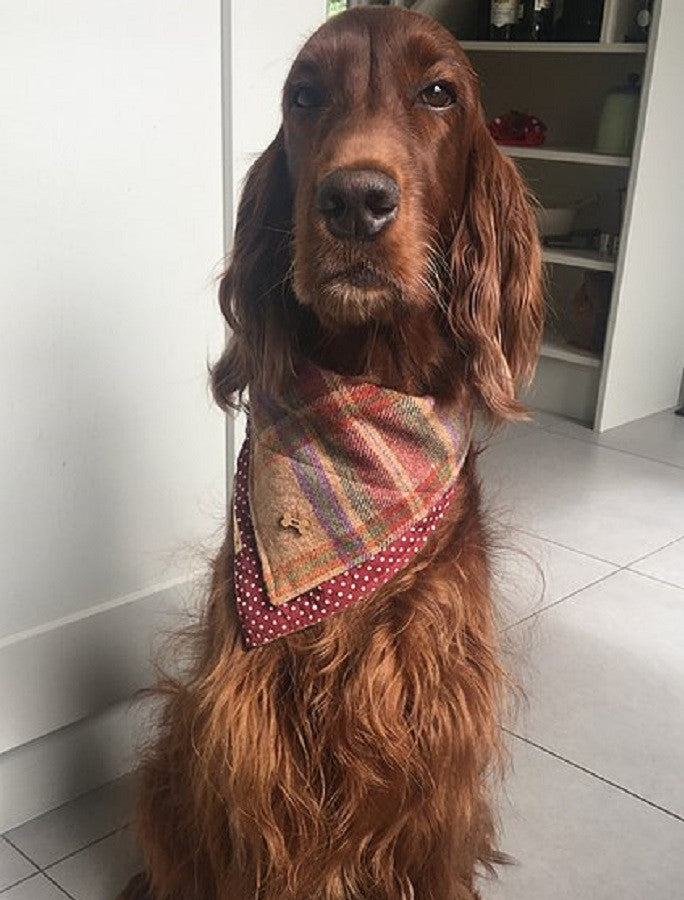 Tweed Wool Doggy Neckerchief Bandana - Burgandy