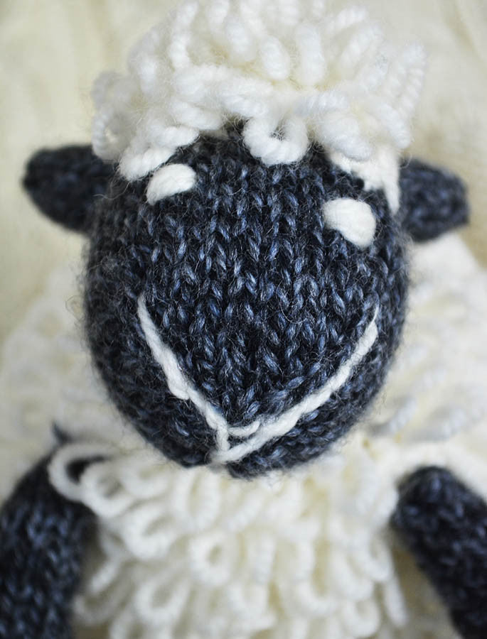 Aran Wool Sheep Teddy