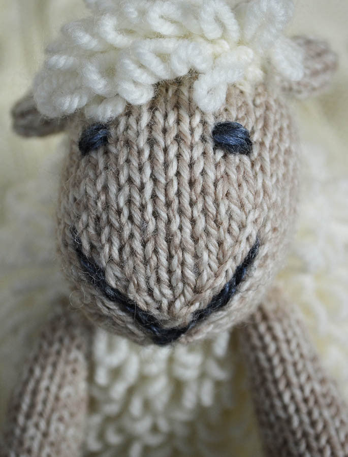 Aran Wool Sheep Teddy