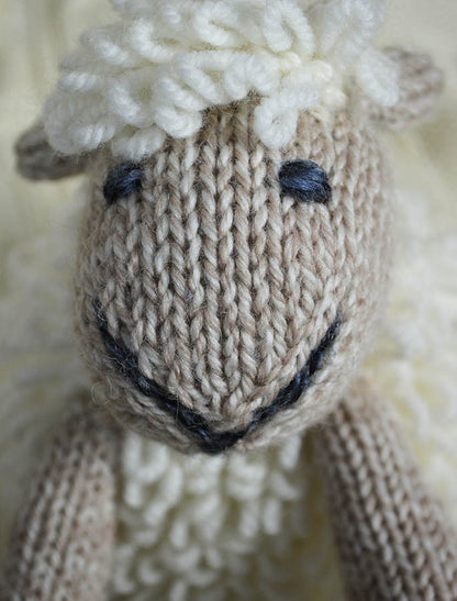 Aran Wool Sheep Teddy