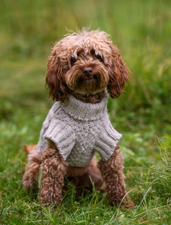 Aran Cable &amp; Diamond Dog Sweater