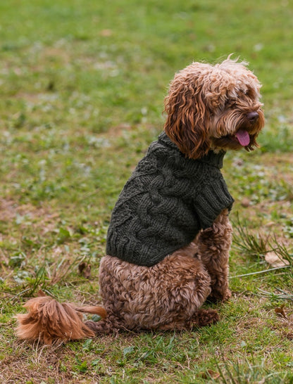 Aran Cable &amp; Diamond Dog Sweater