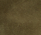 Ladies Gallagher Wool Felt Fedora