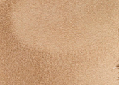 Ladies Gallagher Wool Felt Fedora