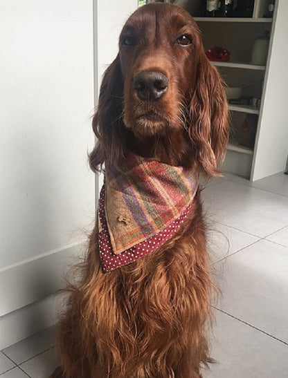 Tweed Wool Doggy Neckerchief Bandana - Burgandy