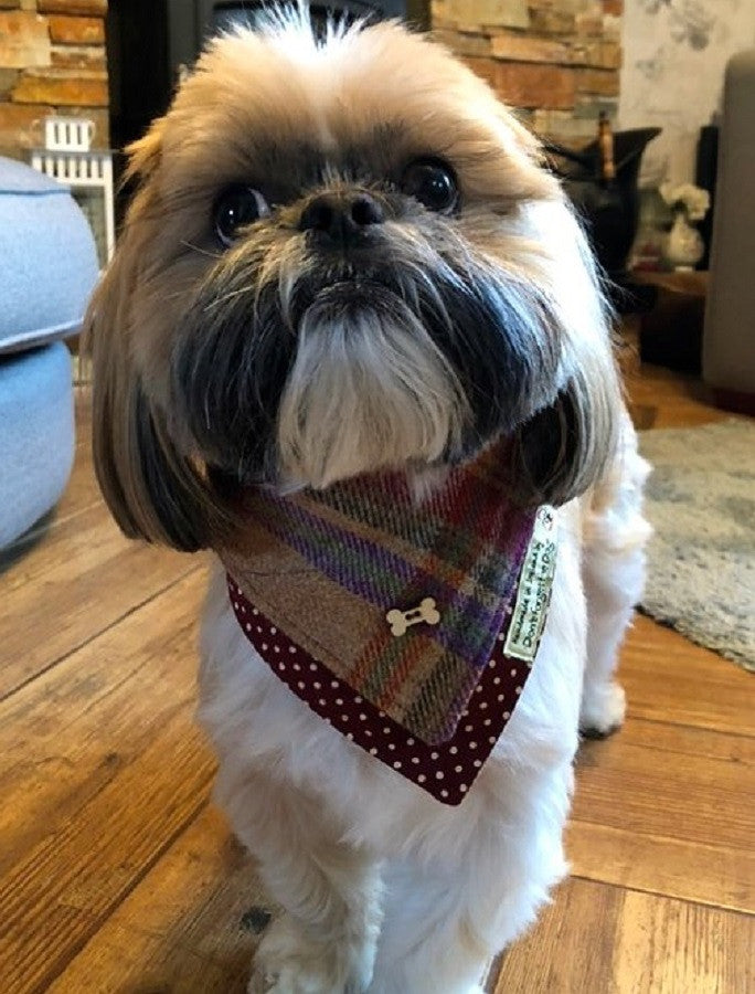 Tweed Wool Doggy Neckerchief Bandana - Burgandy
