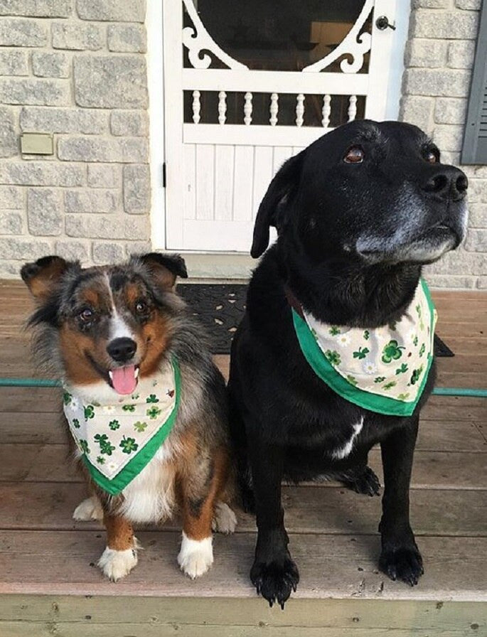 Tweed Doggy Neckerchief Bandana - Shamrock