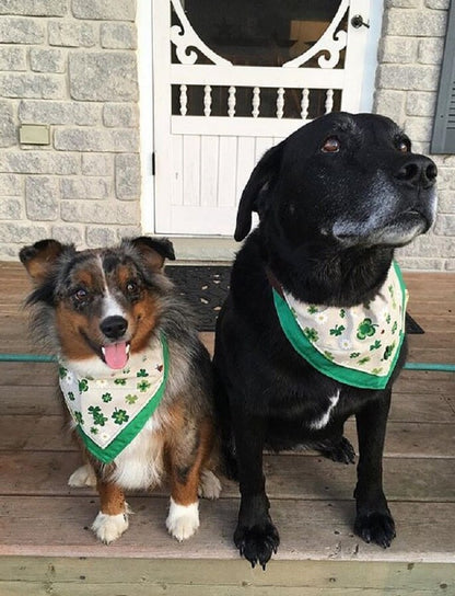 Tweed Doggy Neckerchief Bandana - Shamrock